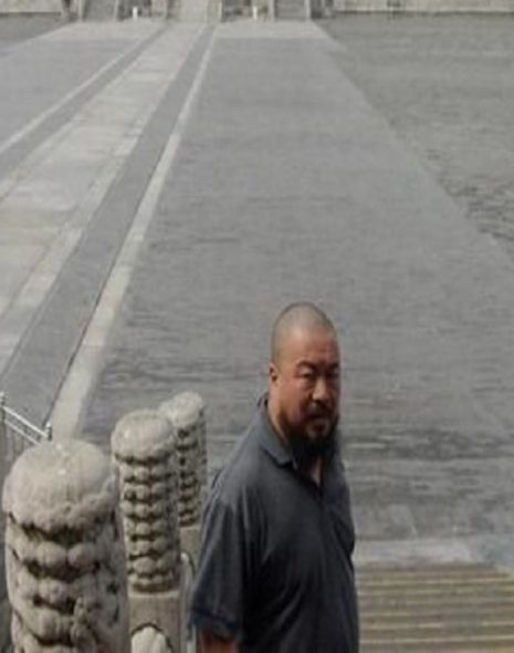 around ai weiwei a torino un omaggio all'artista cinese