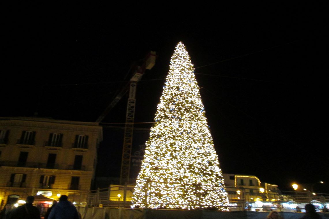 l'albero di natale gigante allestito in piazza del ferrarese a bari