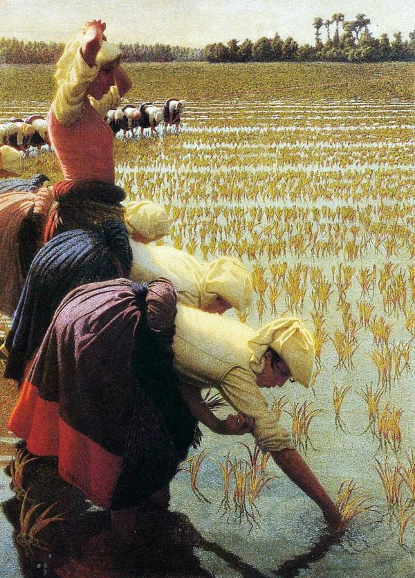 dipinto di angelo morbelli sulle mondine e il loro lavoro nelle risaie