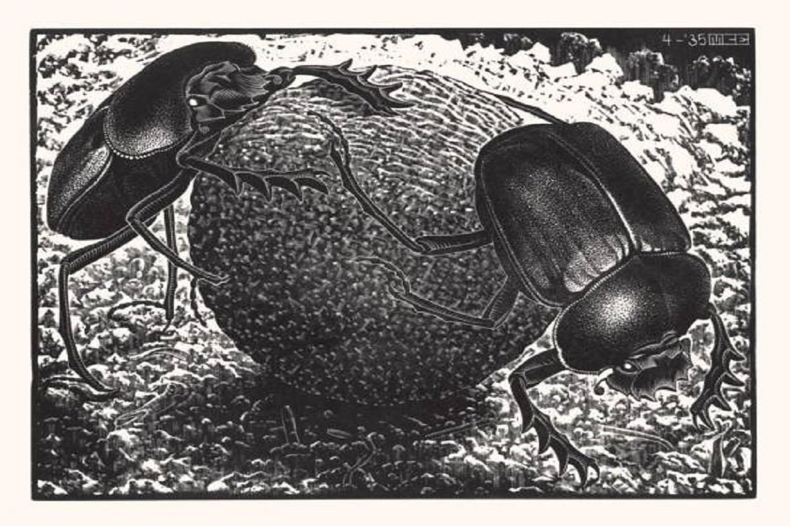 scarabei di escher