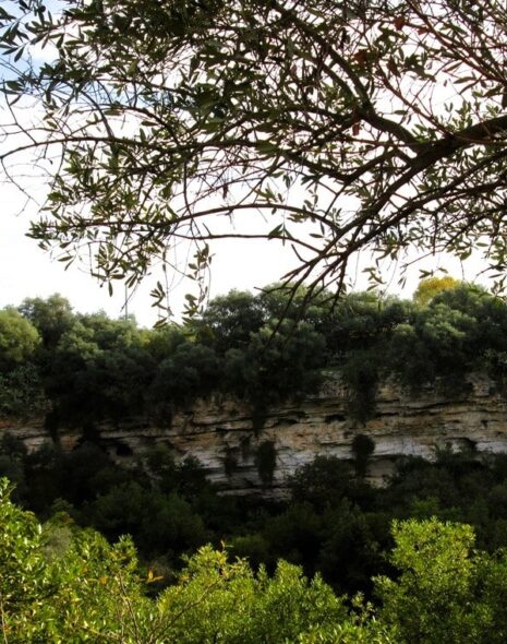 il pulo di molfetta: alla scoperta della dolina carsica più famosa di puglia