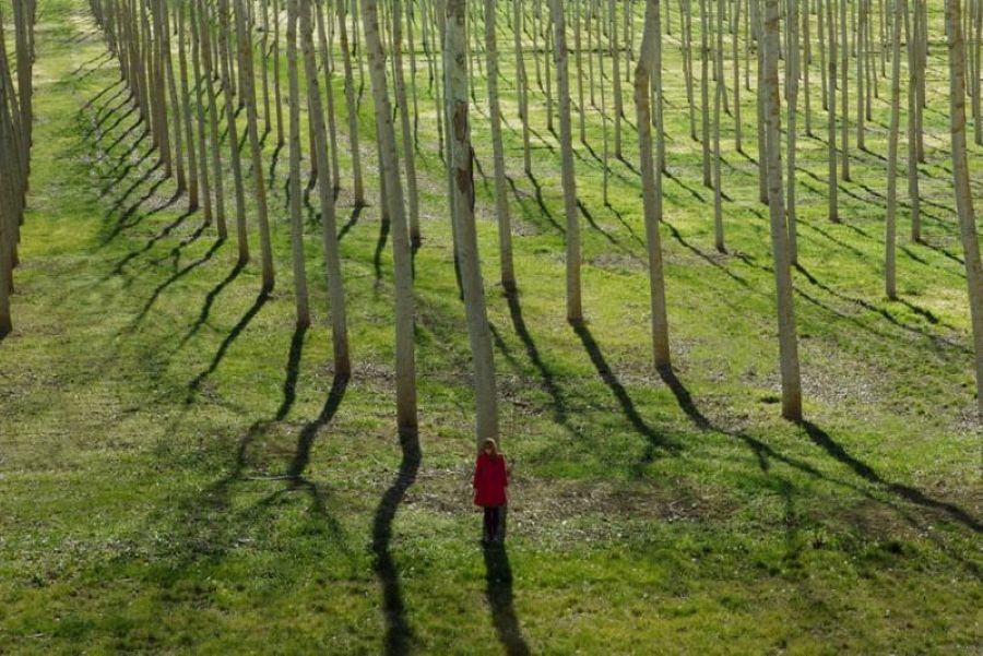 immagine della fotografa maia flore