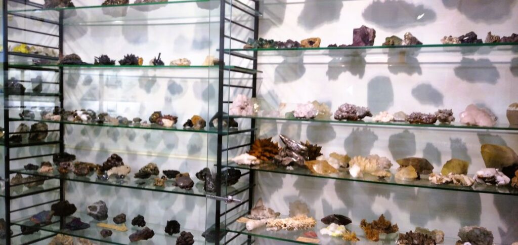 i minerali esposti nel museo di scienze della terra di bari