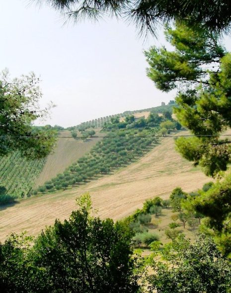 monteprandone e il culto di san giacomo della marca