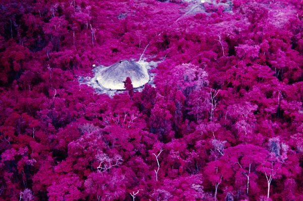 il monte roraima attorniato da una floridissima e colorata vegetazione