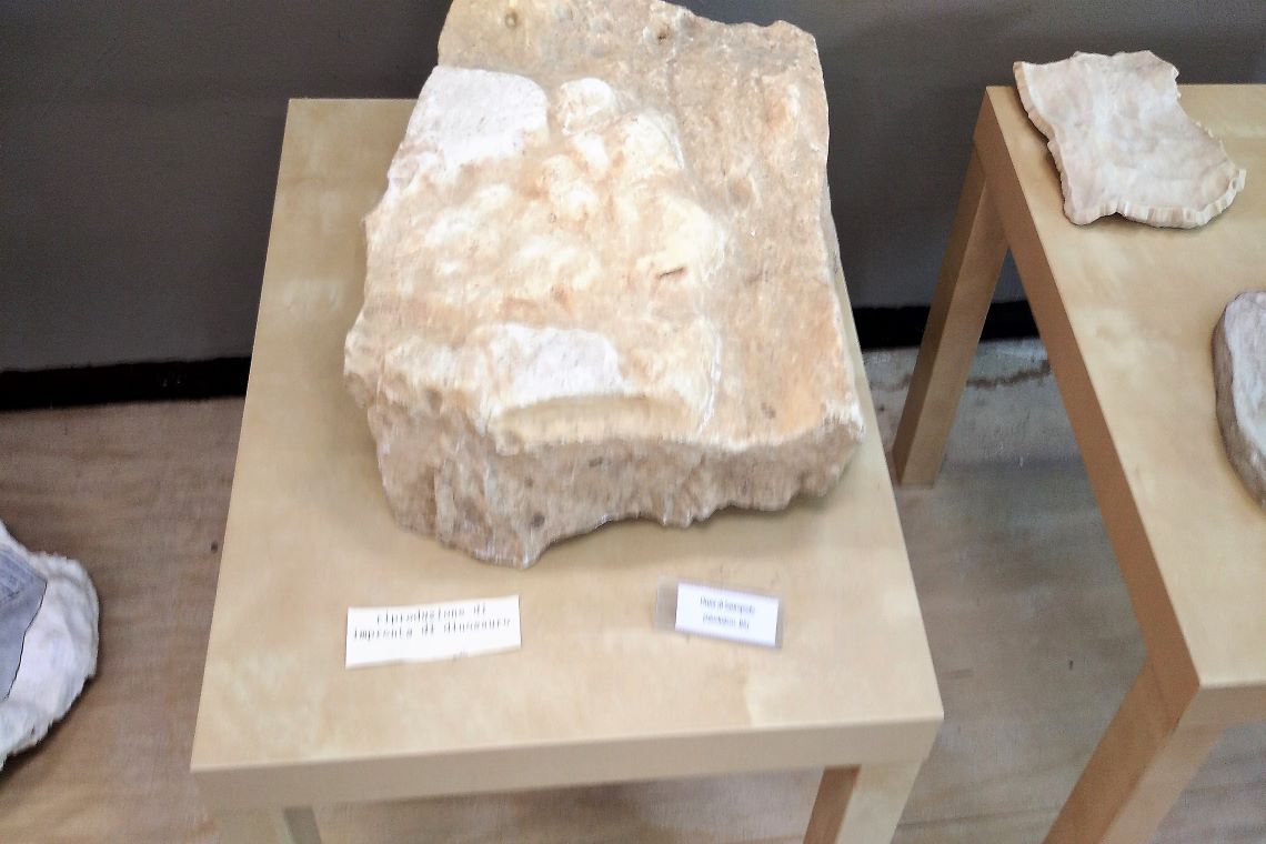 impronta di dinosauro nel museo di scienze della terra di bari